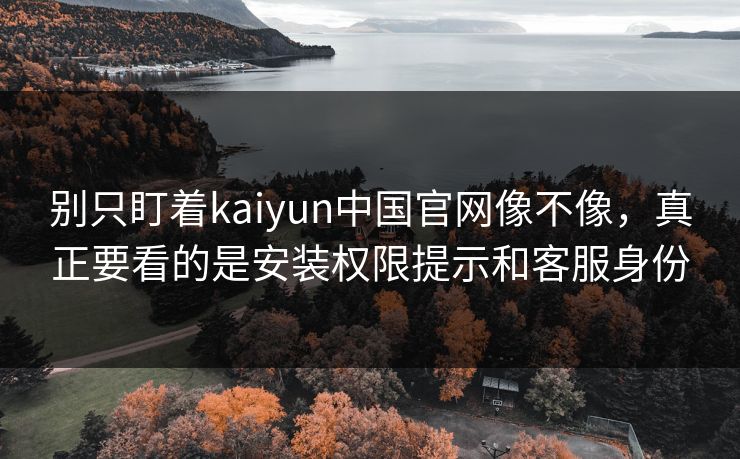 别只盯着kaiyun中国官网像不像，真正要看的是安装权限提示和客服身份