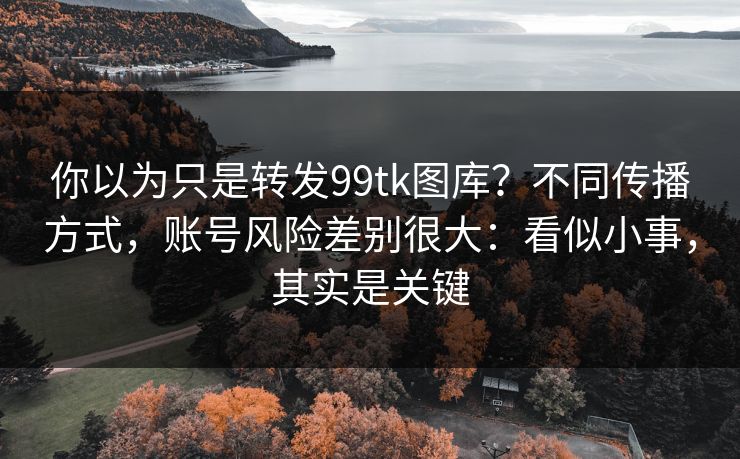 详细阅读:你以为只是转发99tk图库?不同传播方式,账号风险差别很大:看似小事,其实是关键 你以为只是转发99tk图库?不同传播方式,账号风险差别很大:看似小事,其实是关键